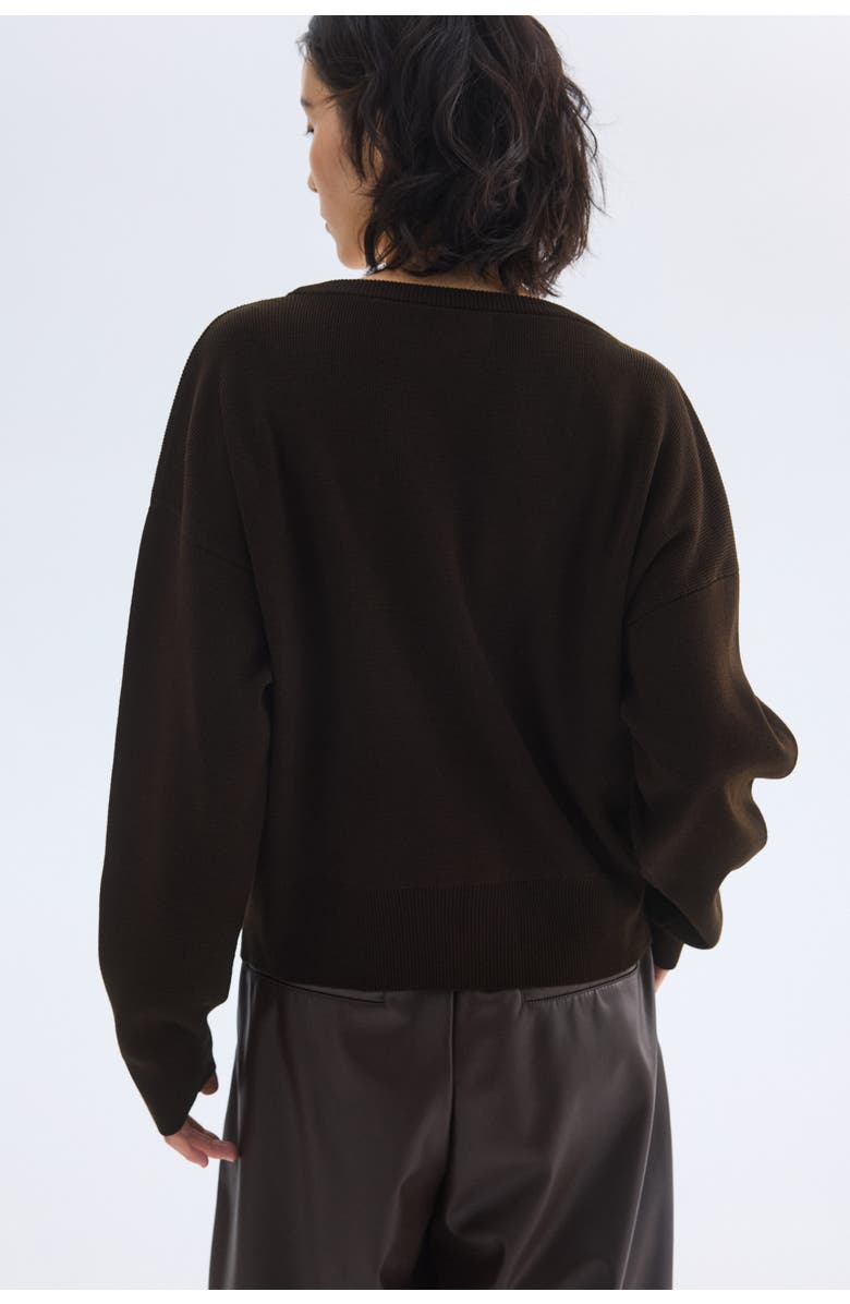 H&M V-neck Jumper, Alternate, color, Dark Brown