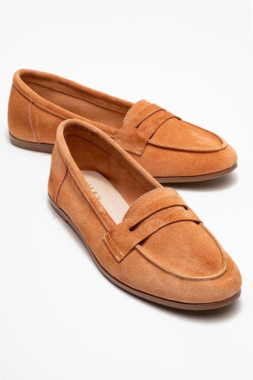 Forever & Always Shoes Dorothy Leather Loafer In Brown