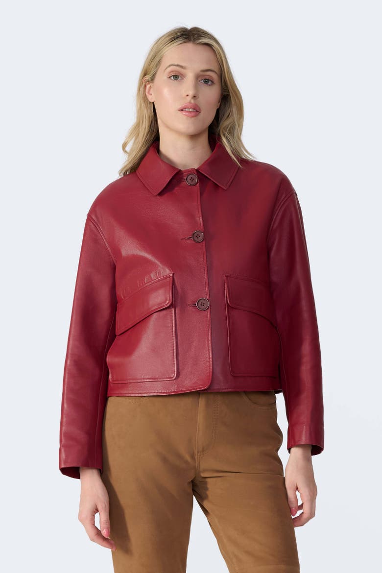 Ella Leather Jacket, Alternate, color, Light Burgundy