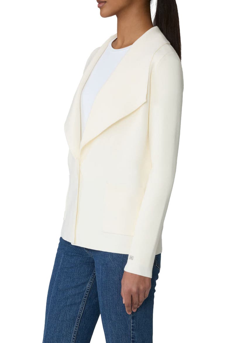 Ioni Shawl Collar Jacket, Alternate, color, POWDER