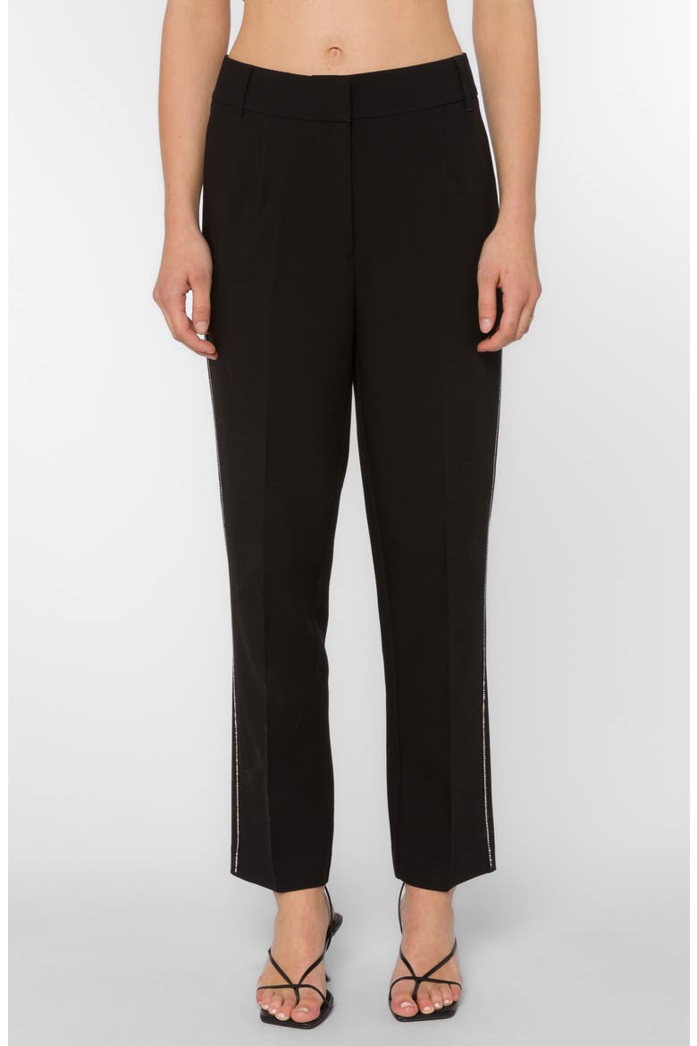 Fiji Embellished Straight Leg Pants, Main, color, BLACK