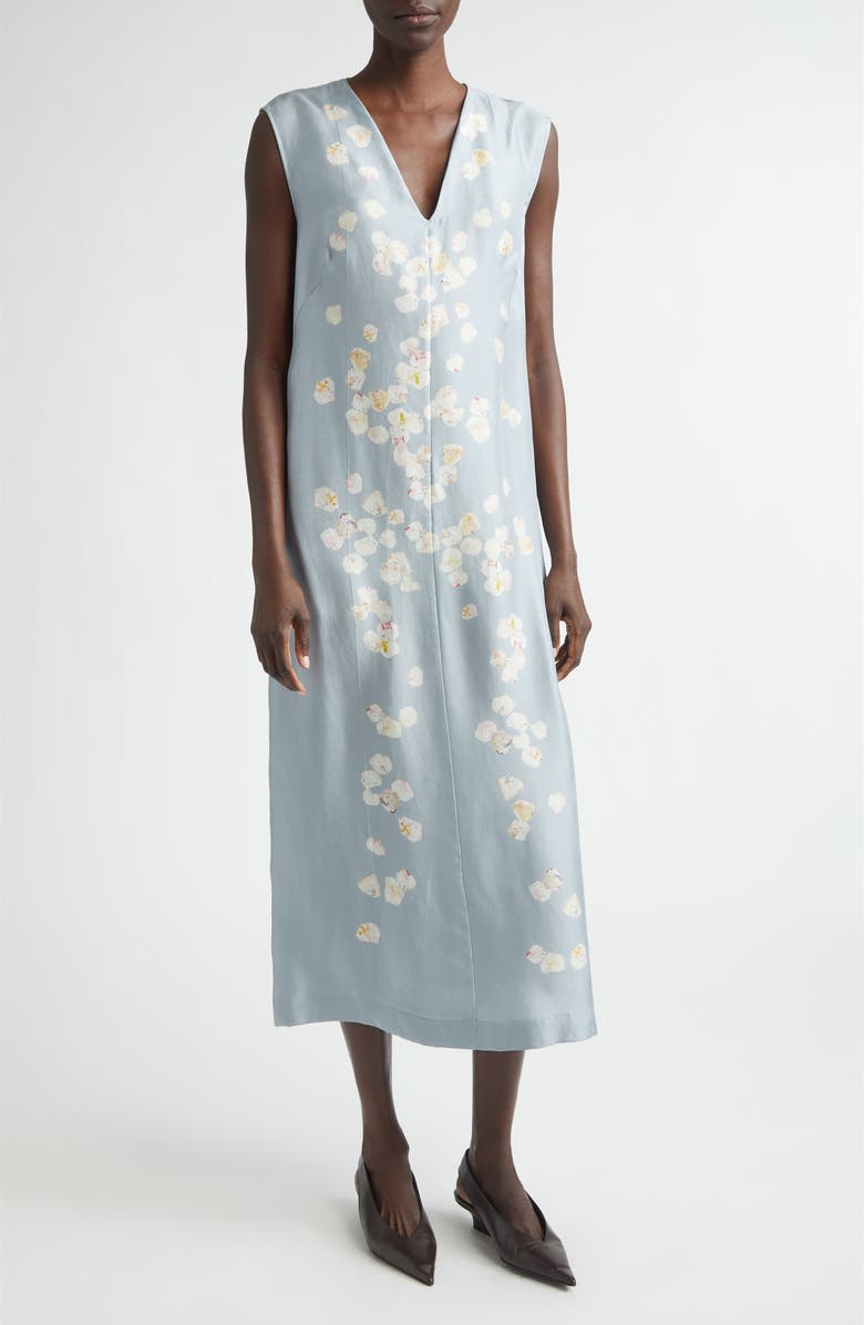 Altuzarra Cherie Petal Print Silk Midi Dress, Main, color, 415067 Storm Petals