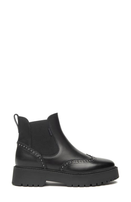 Nerogiardini Brogue Leather Chelsea Ankle Booties In Black