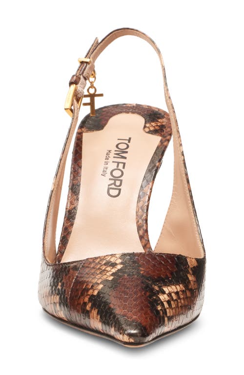 Tom Ford Ayers Pointed Toe Slingback Pump In Brown