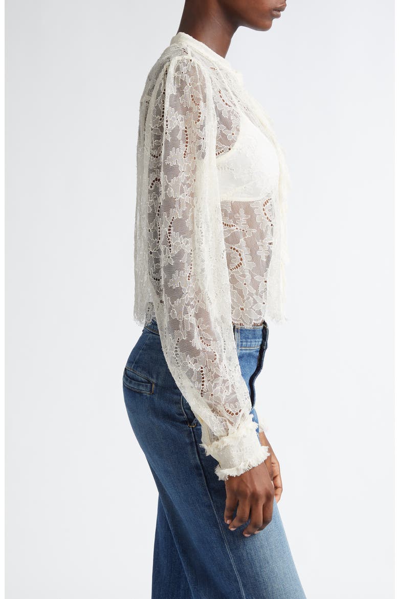 Cecile Ruffle Sheer Lace Top, Alternate, color, COWRIE