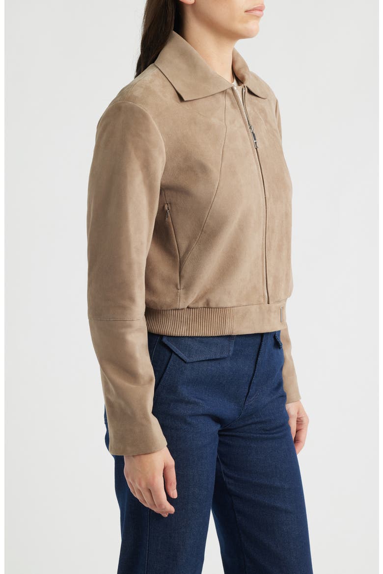 Salene Suede Jacket, Alternate, color, BASALT