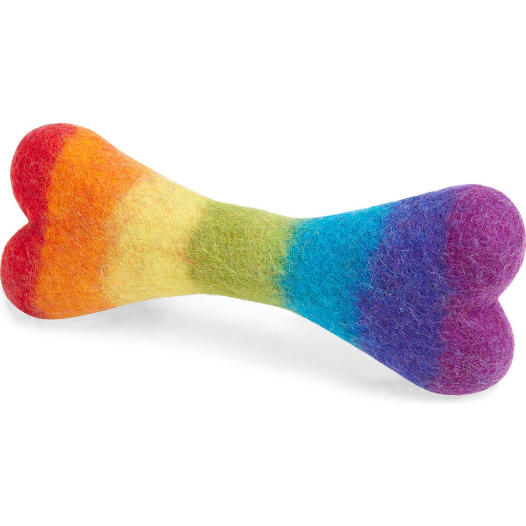 MODERNBEAST Rainbow Bone Felted Wool Pet Toy in Large - Rainbow  product