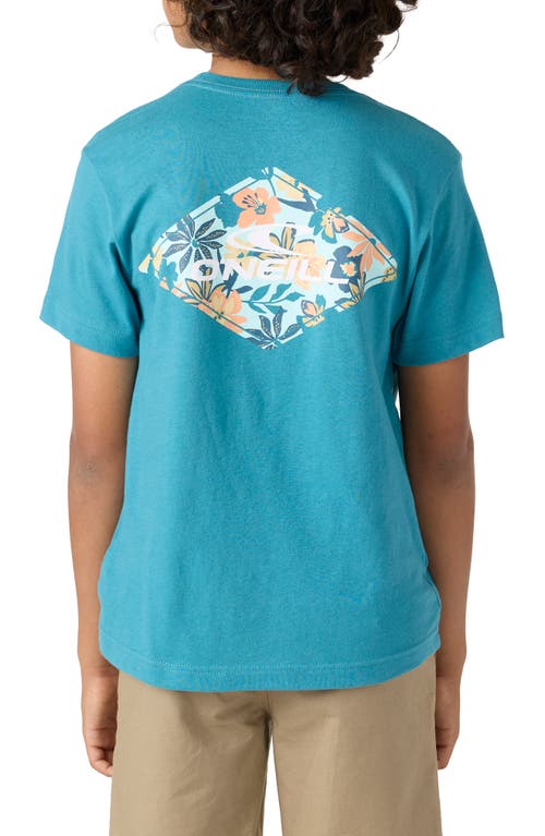 O'neill Kids' Blended Cotton Graphic T-shirt In Stormy