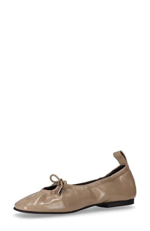 Alohas Rosalind Ballet Flat In Brown