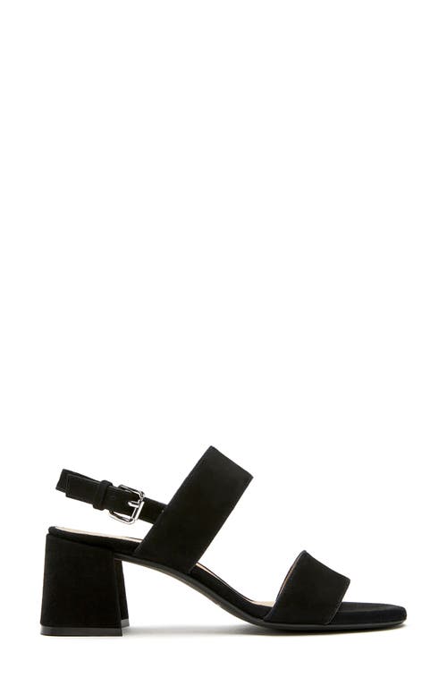 Shop La Canadienne Flemming Sandal In Black Suede