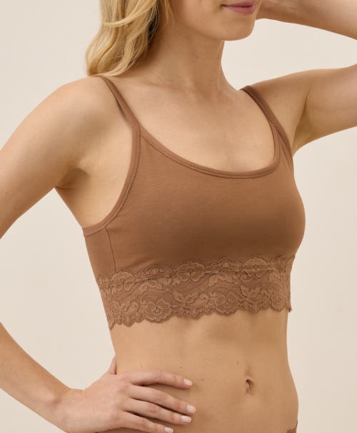 Pact Organic Cotton Lace Smooth Cup Bralette In Brown