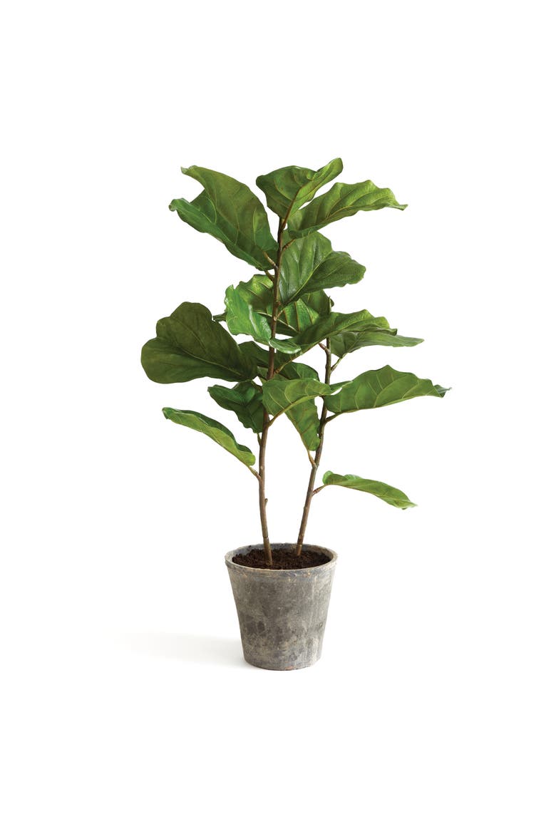 Fiddle Leaf Fig Potted 43", Main, color, Green