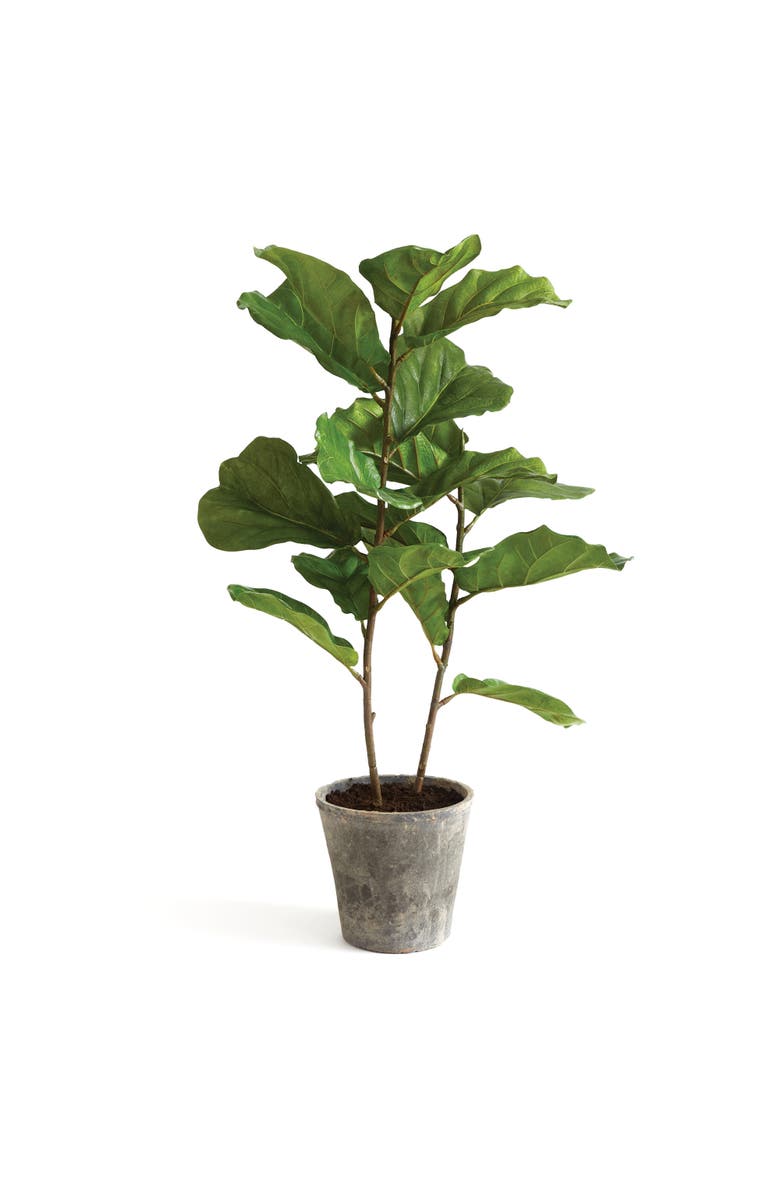 Napa Home & Garden Fiddle Leaf Fig Potted 43", Main, color, Green