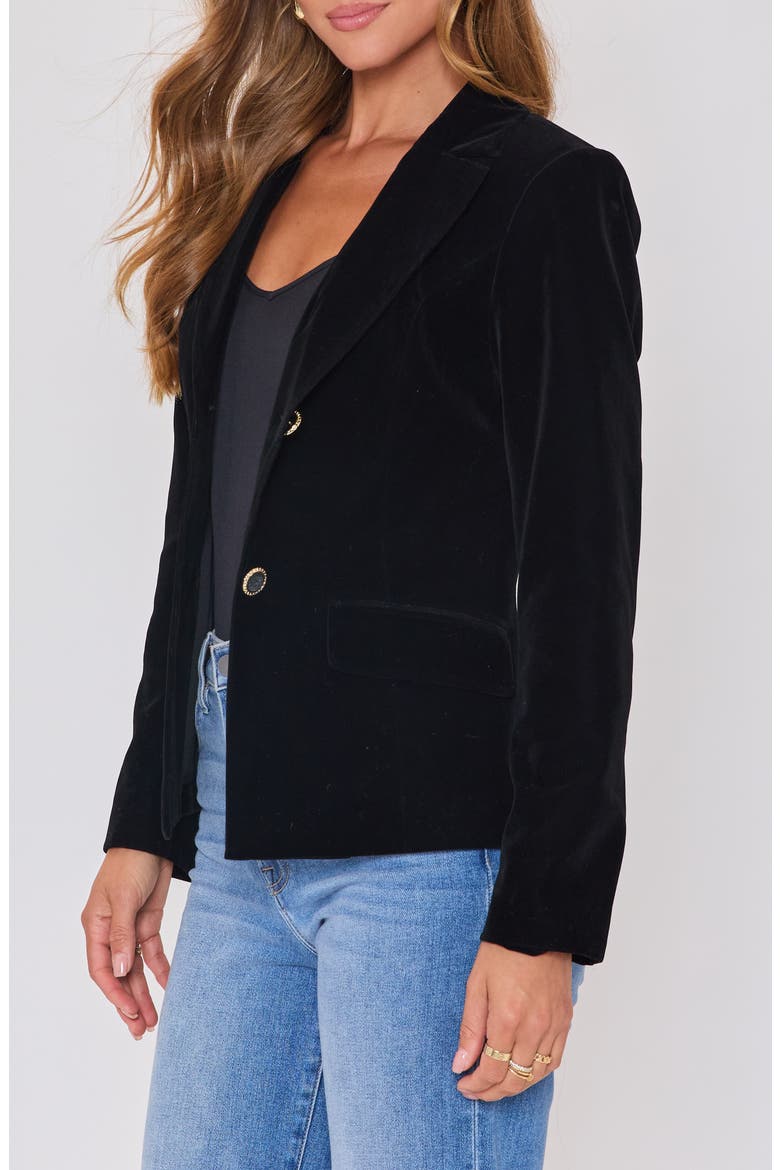 Polished Way Velvet Blazer, Alternate, color, BLACK