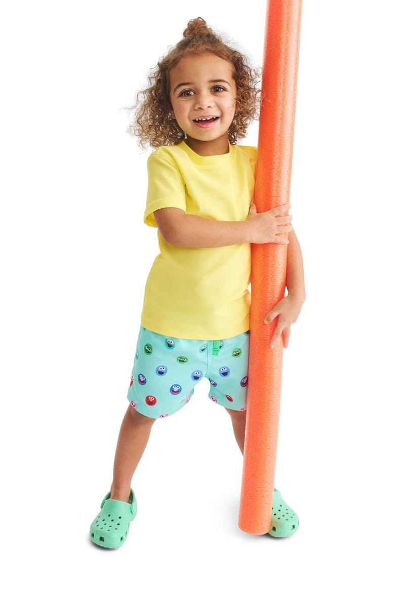 Kids Sesame Street Swim Trunk, Alternate, color, Mist Sesame Street Friends