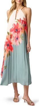 Adrianna Papell Floral Print Sleeveless Chiffon Maxi Dress