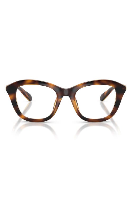 Swarovski 50mm Small Cat Eye Optical Glasses In Brown
