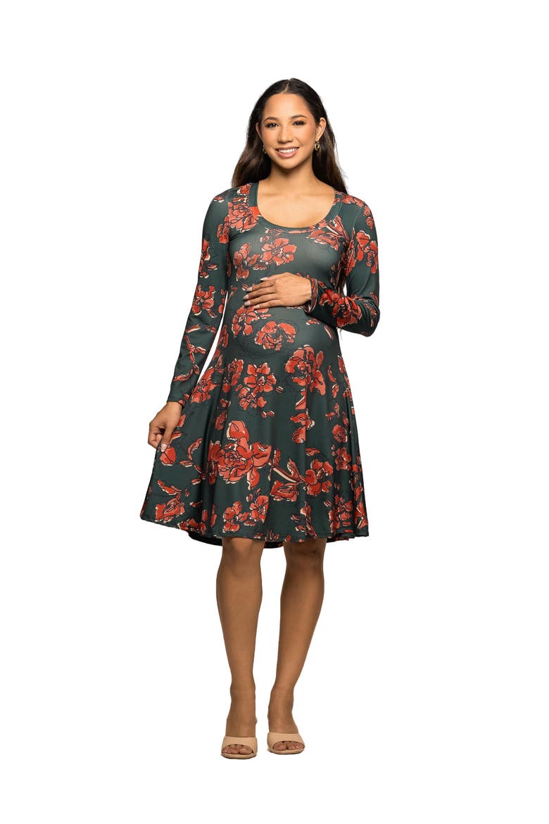 Long Sleeve Fit and Flare Dress in Floral Print, Main, color, Green Multi