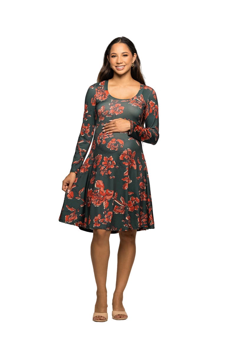 24seven Comfort Apparel Long Sleeve Fit and Flare Dress in Floral Print, Main, color, Green Multi