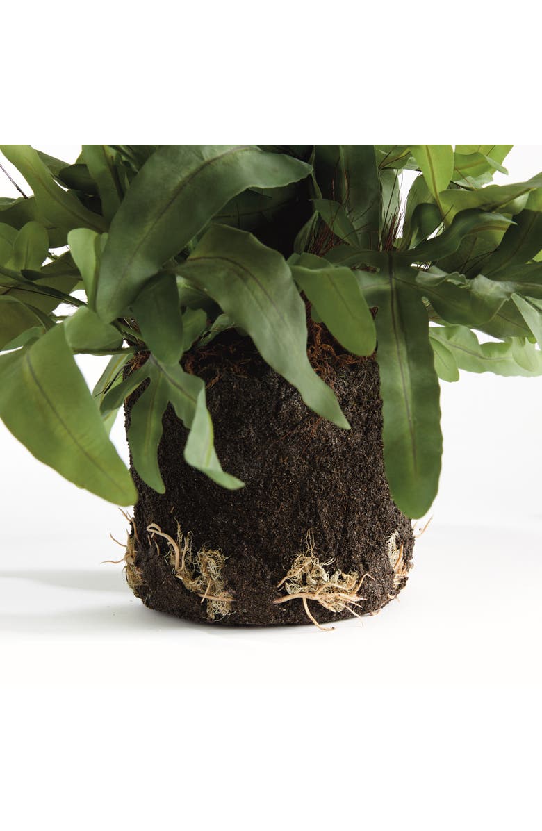 Napa Home & Garden Echeveria Fern Artificial Plant Drop-In, Alternate, color, Green