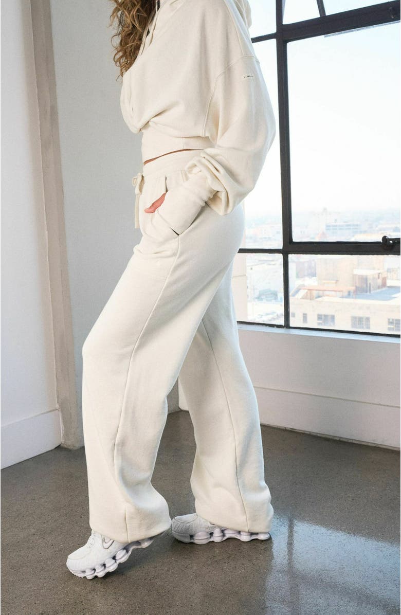 Vitality Remedy Carpenter Pant, Alternate, color, Bone Washed