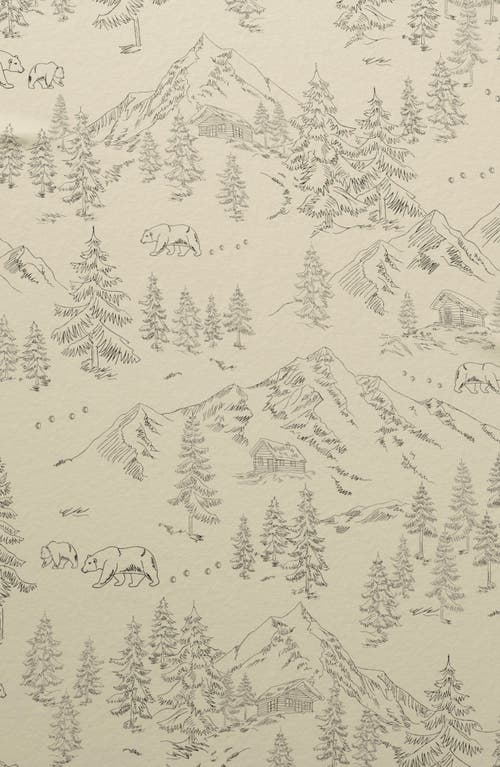 Woven & Weft Lodge Print 4-piece Microfiber Sheet Set