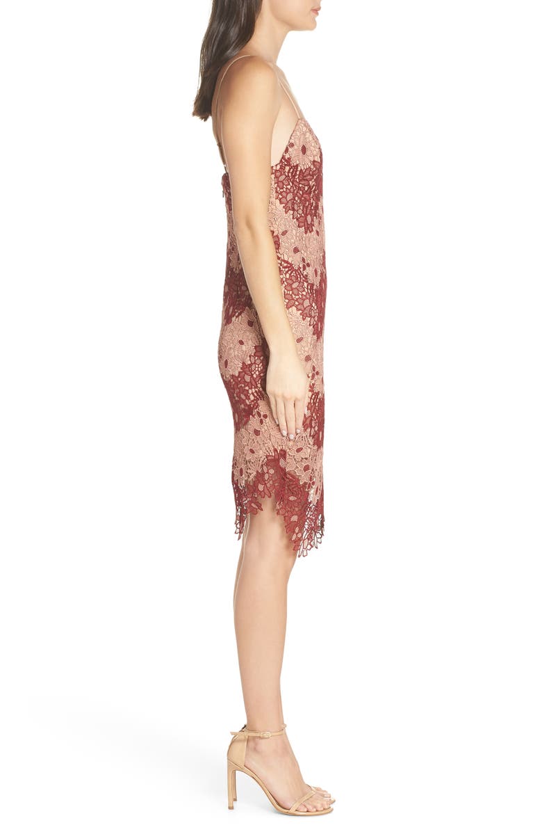 Bardot Two-Tone Lace Dress, Alternate, color,
