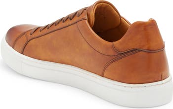 Cuervo II Sneaker