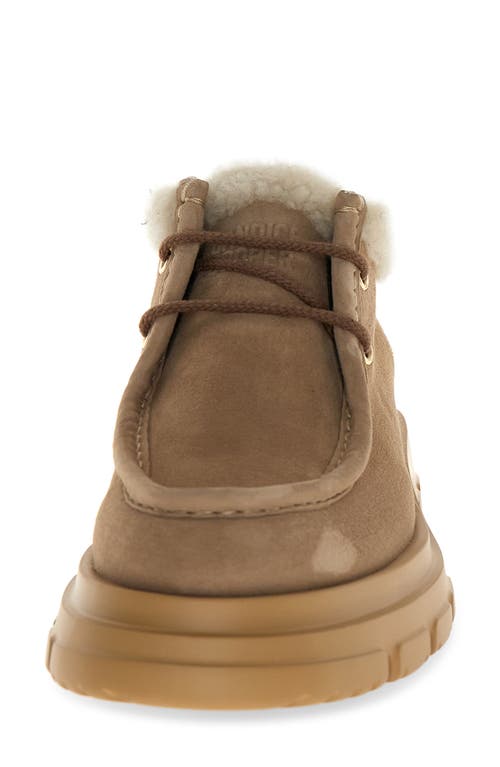 Candice Cooper Chado London Faux Shearling Bootie In Brown