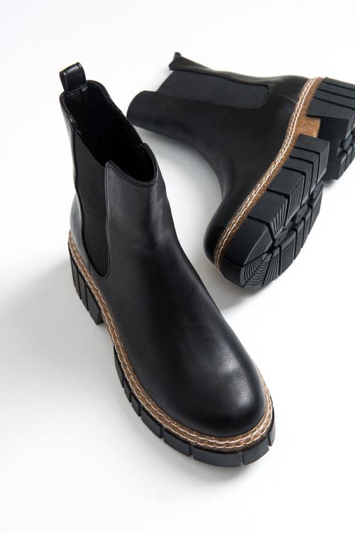 Prologue Shoes Luz Block Heel Boot In Black