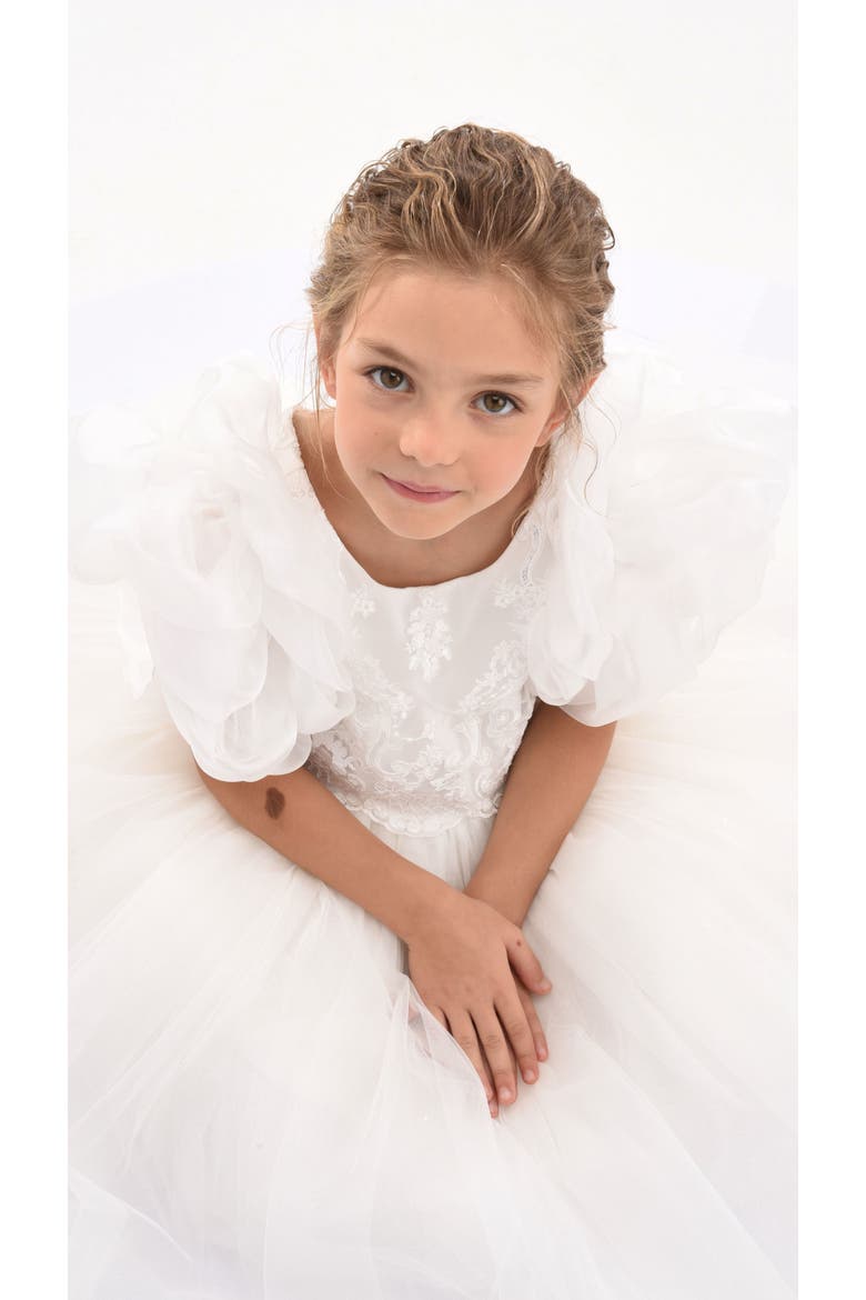 Montclair Embroidered Dress, Alternate, color, White