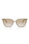  Transparent Beige / Grey