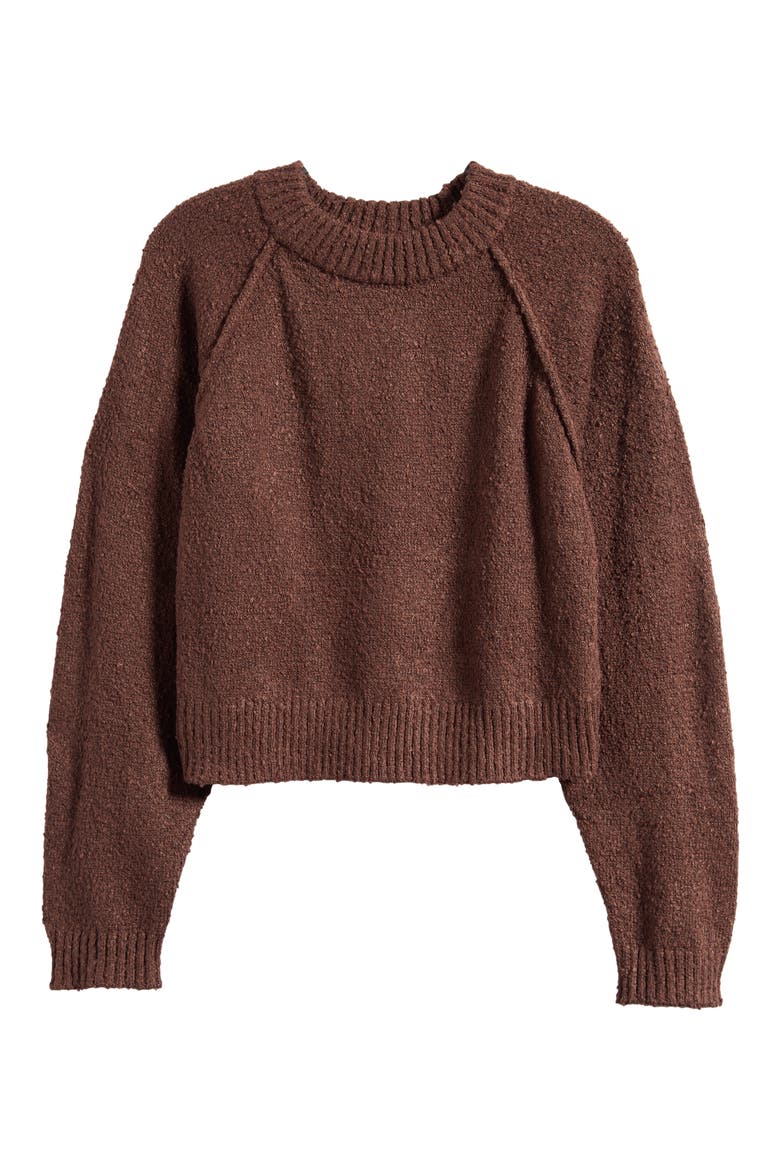 Snug Raglan Sleeve Crop Sweater, Alternate, color, FRENCH ROAST