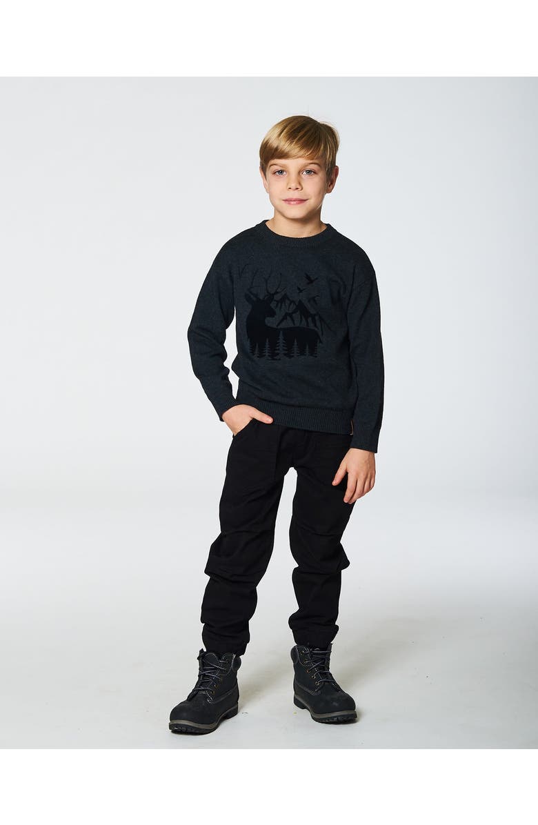 Deux par Deux Boy's Sweater With Deer Flocking Dark Gray, Alternate, color, 