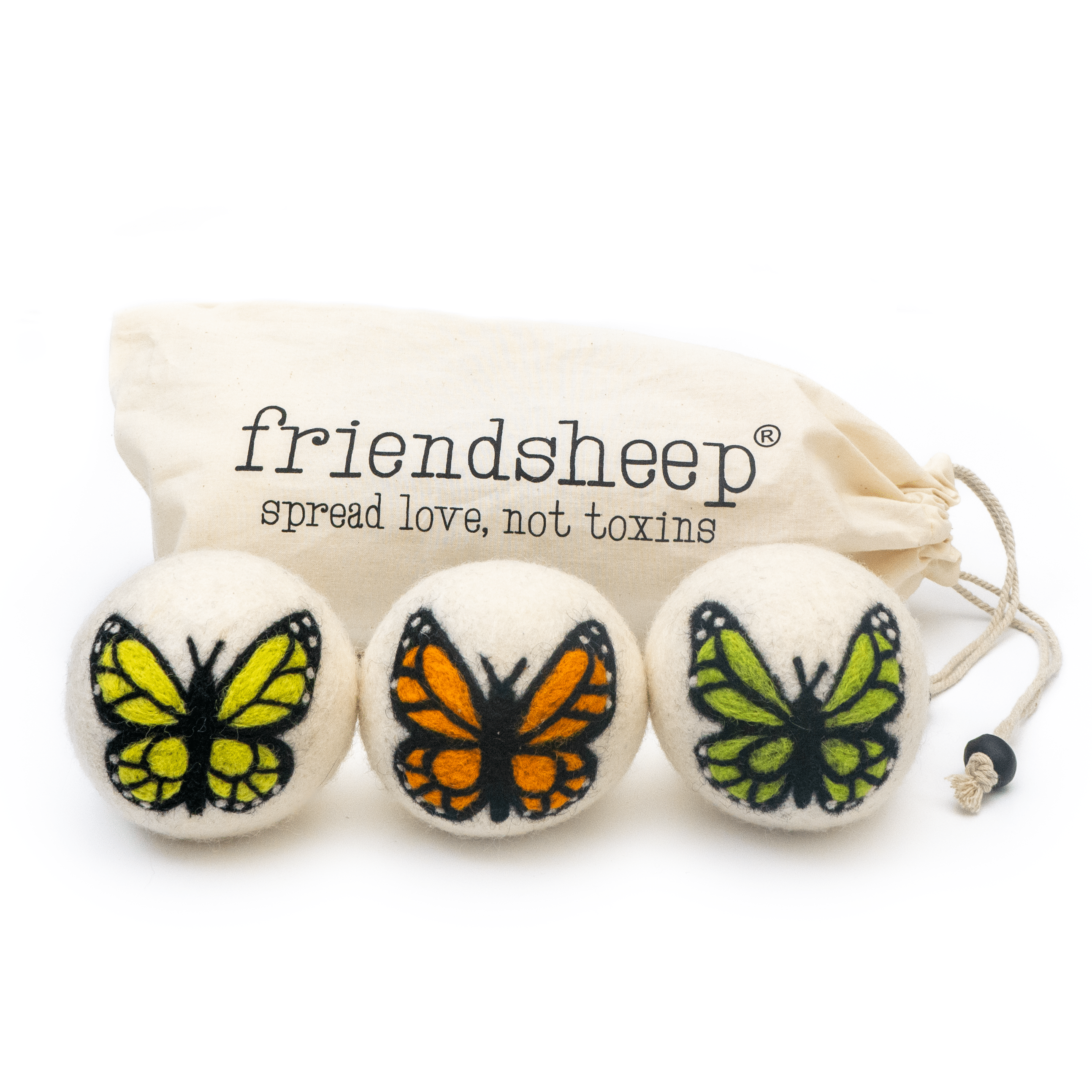 Sun Monarch Butterfly