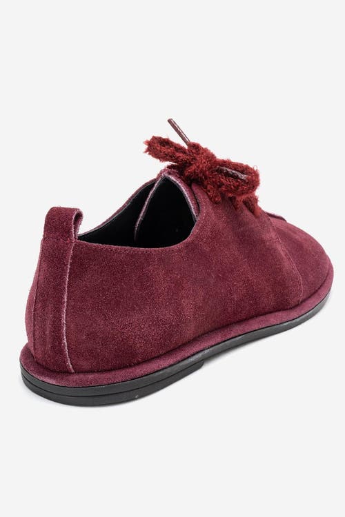 Forever & Always Shoes Denora Leather Lace Up Shoes In Burgundy