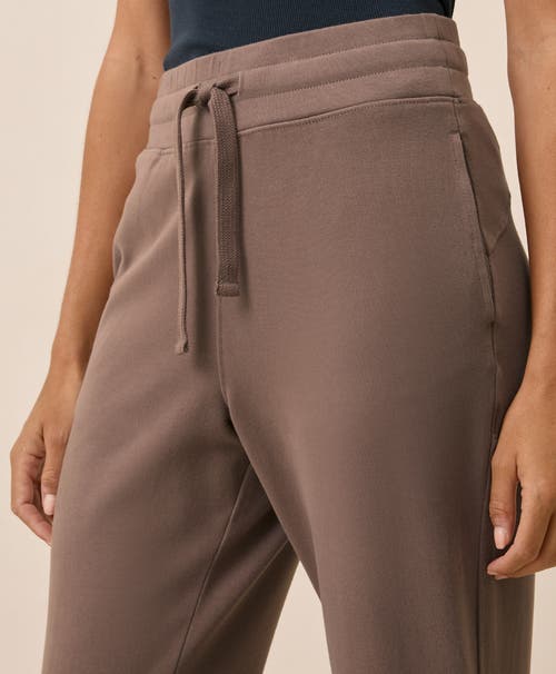 Pact Organic Cotton Cloudknit Jogger In Brown