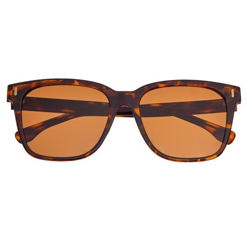 Breed Linux Polarized Sunglasses In Tortoise/brown