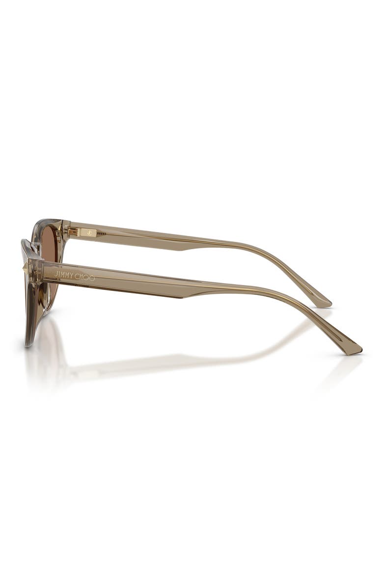 Trace 53mm Phantos Sunglasses, Alternate, color, TRANSPARENT BROWN / DARK BROWN