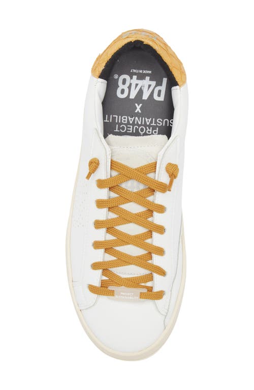 P448 John Perforated Sneaker In White