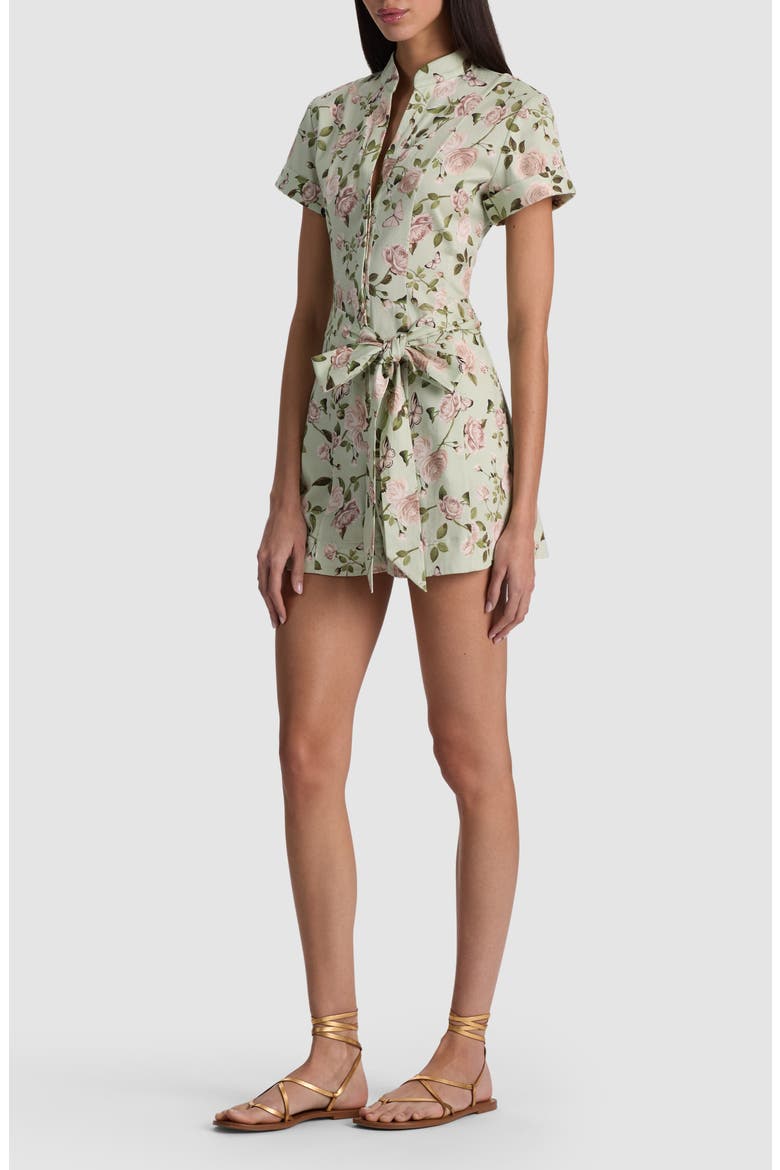 Lucy Floral Belted Romper, Alternate, color, GARDEN GOSSIP LIGHT SAGE