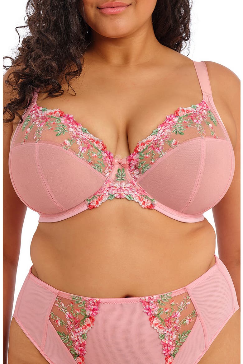 Aerith Full Figure Underwire Plunge Bra, Main, color, ROSE