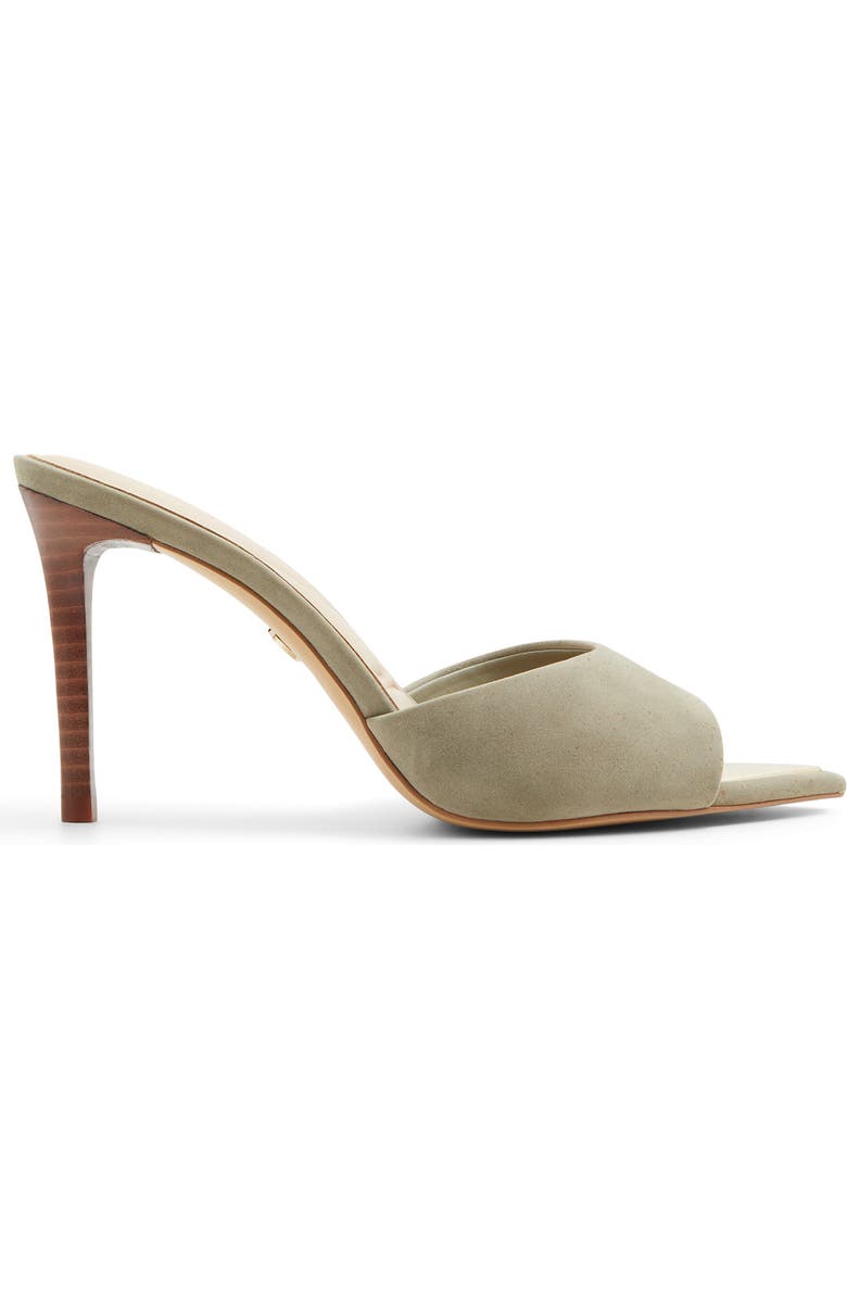 ALDO Marita Pointed Toe Slide Sandal, Alternate, color,