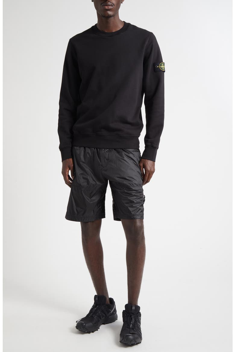 Compass Logo Patch Cotton Crewneck Sweatshirt, Alternate, color, V0029 BLACK