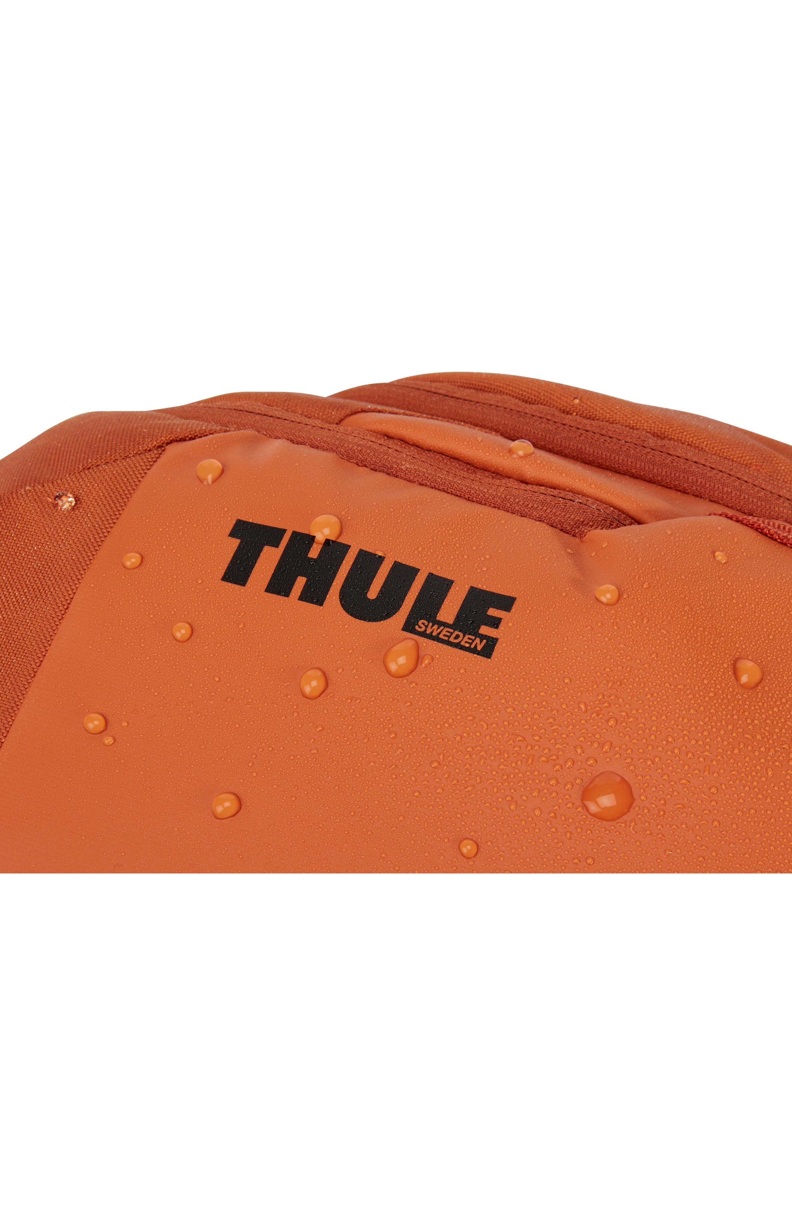 Thule Chasm 26-Liter Backpack, Alternate, color, 