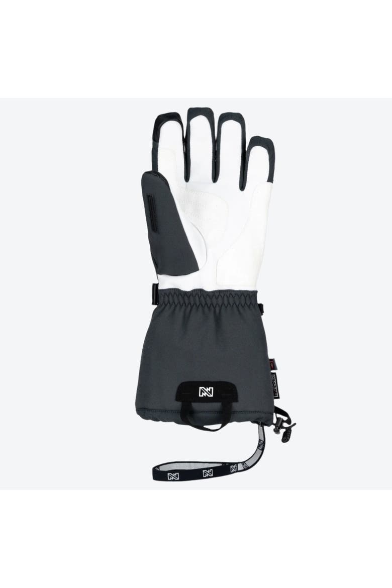 Aerial Waterproof Heated Snow Glove - Men's, Alternate, color, Grey and White