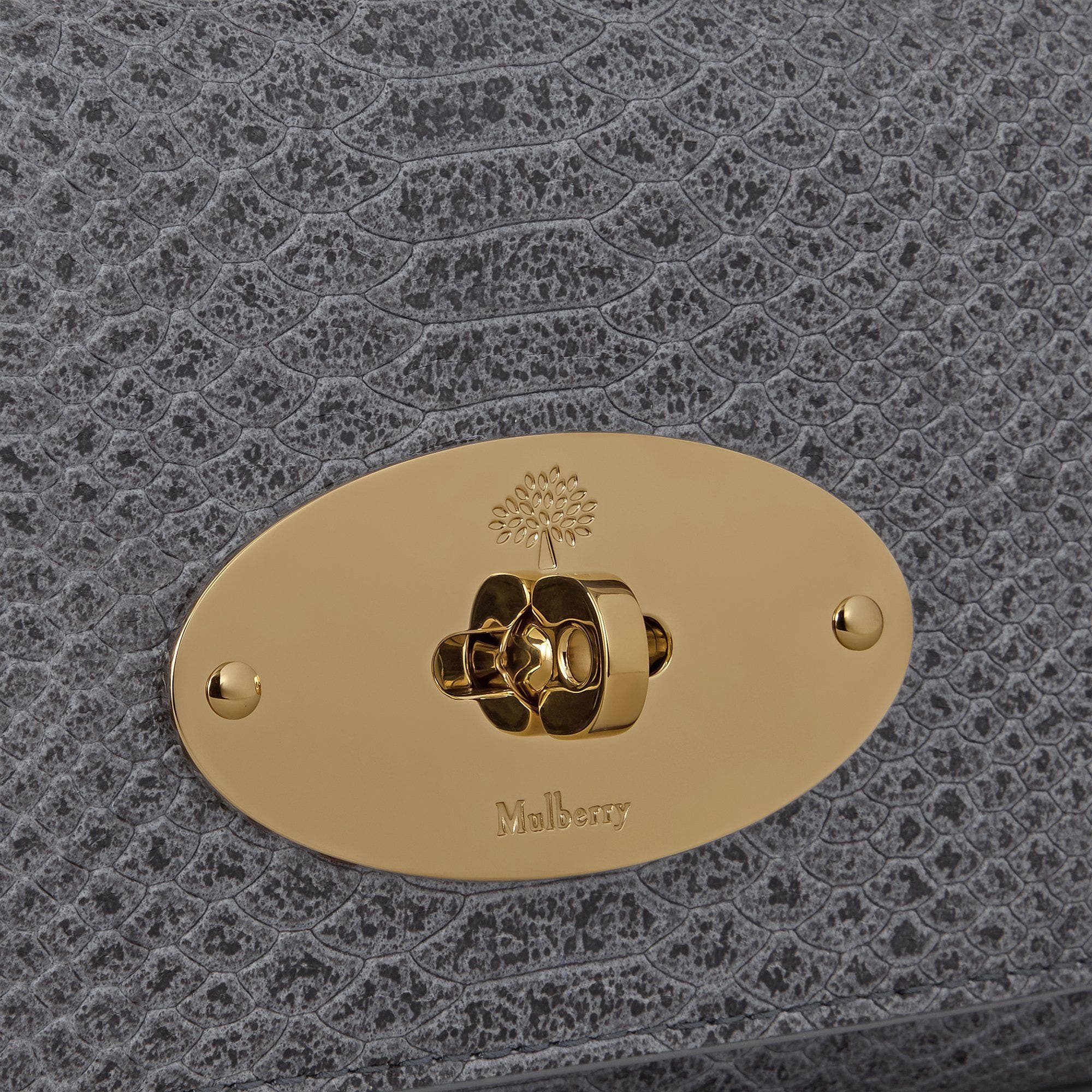 Mulberry Lily Chain Wallet (Women) | Nordstrom