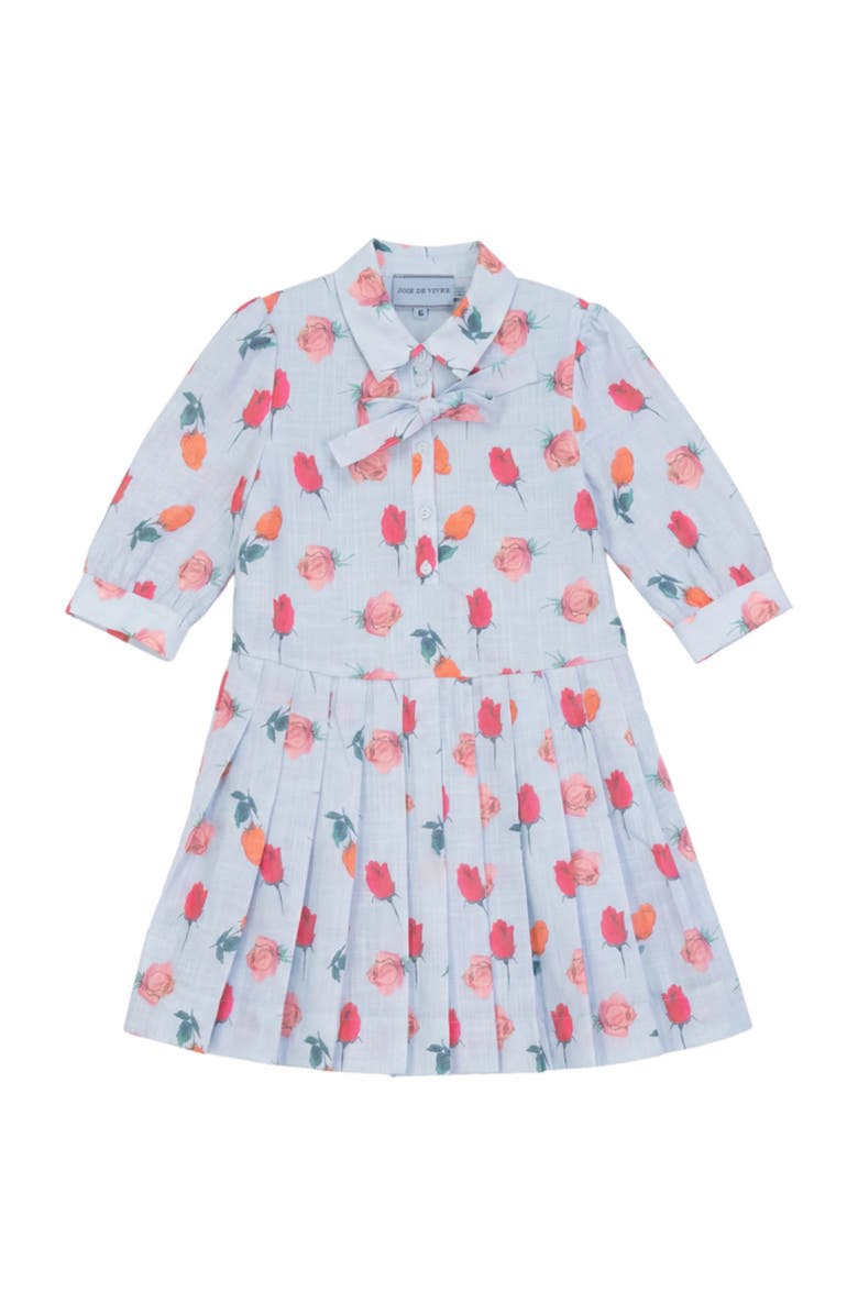 Joie De Vivre Rose Pleated Button Front Loose Fit Dress, Main, color, Blue