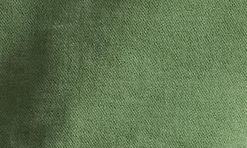 Polo Ralph Lauren Cotton French Terry Hoodie In Green