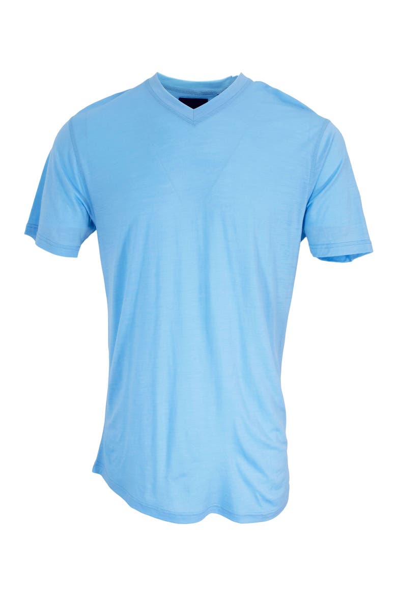 Victor Extra Fine Merino Wool V-neck Shirt, Alternate, color, Blue